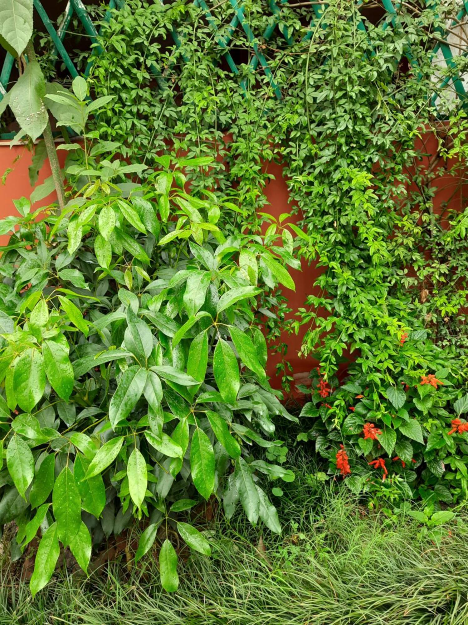 Best Hostel Kathmandu Exterior photo